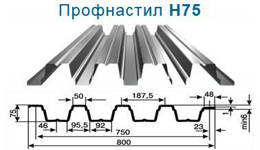 H75